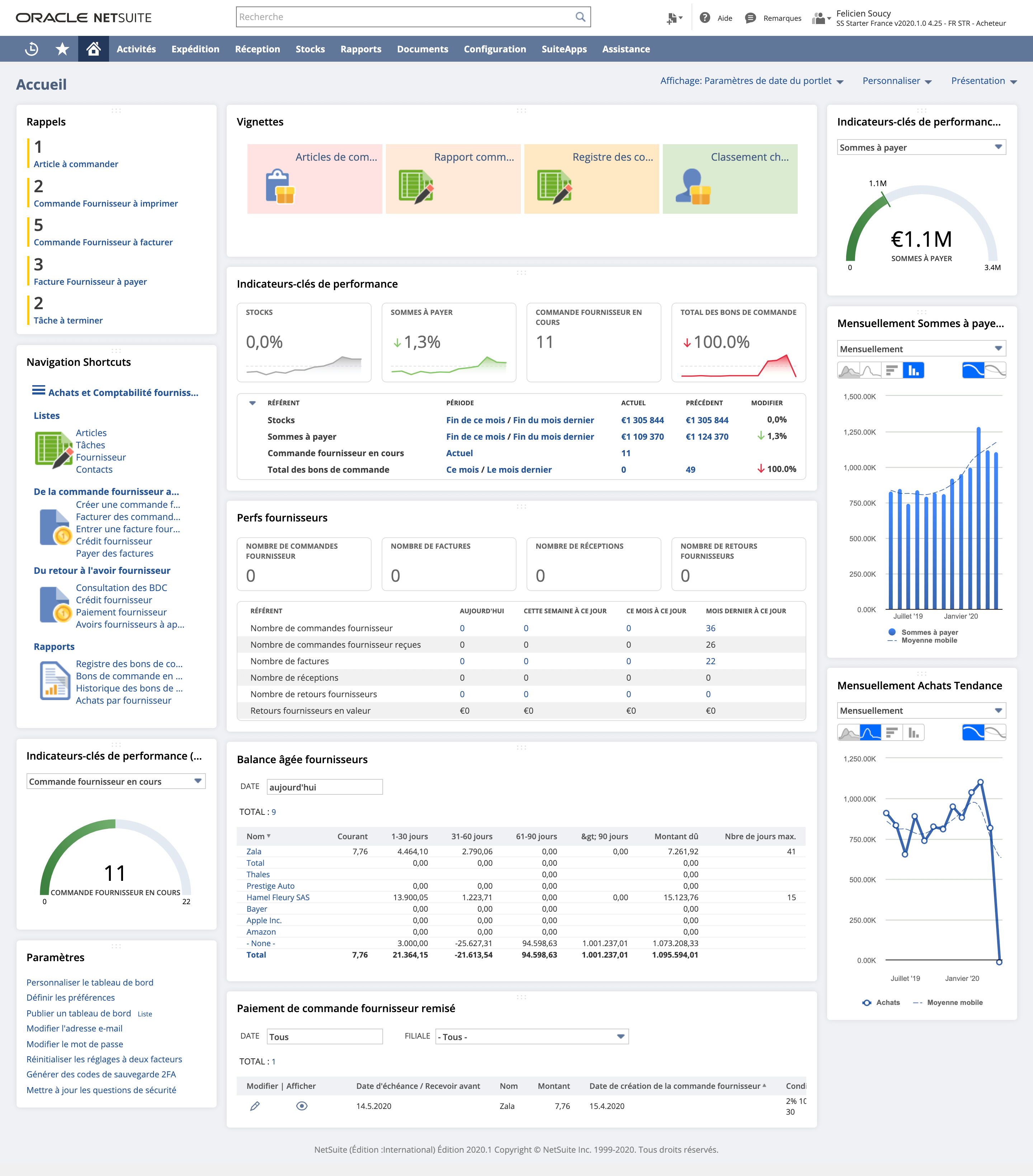 NetSuite - Dashboard des achats