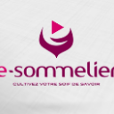 Simple CRM Enterprise-creation-identite-visuelle-logo-e-sommelier-logotype Simple CRM Enterprise-creation-identite-visuelle-logo-e-sommelier-logotype