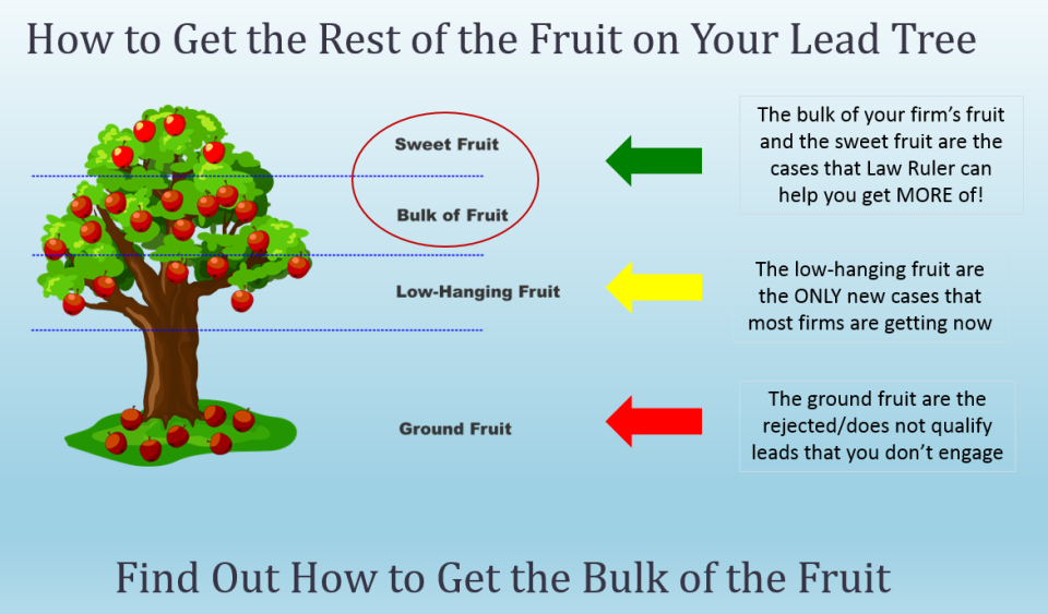 Law Ruler Software - Law Ruler Software-screenshot-1