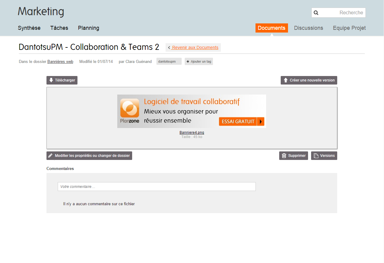 Planzone - Planzone: Geographic Data redundancy, Document Library, Gantt