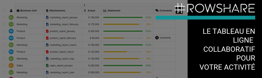 RowShare : Efficient Collaborative Table Management Software
