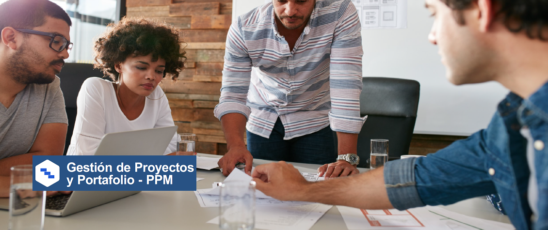 SoftExpert PPM : Optimize Portfolio Performance with Leading PPM Software