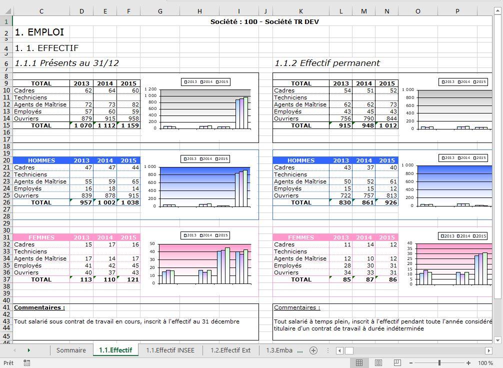 Emalti-RH - Emalti-RH : Logiciel Bilan Social vers Excel(r)