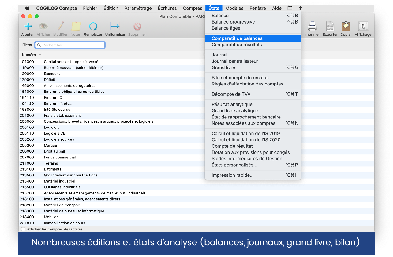 Cogilog Compta - Nombreux états de restitution