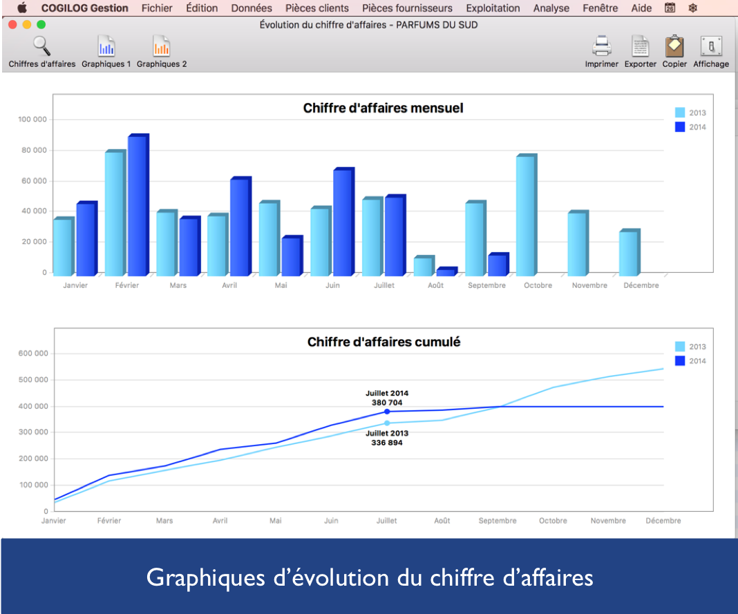 Cogilog Gestion - Graphiques d’évolution du chiffre d’affaires