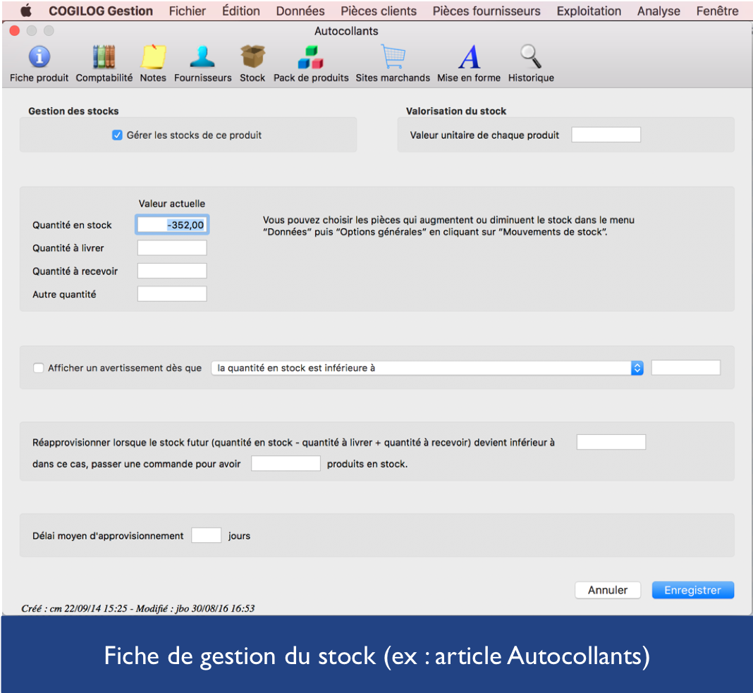 Cogilog Gestion - Fiche de gestion du stock