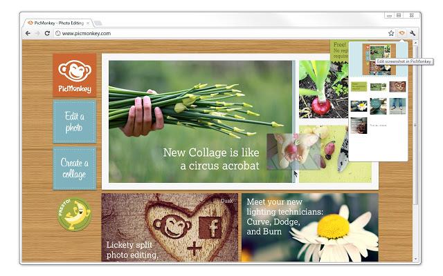 PicMonkey - Capture d'écran 2