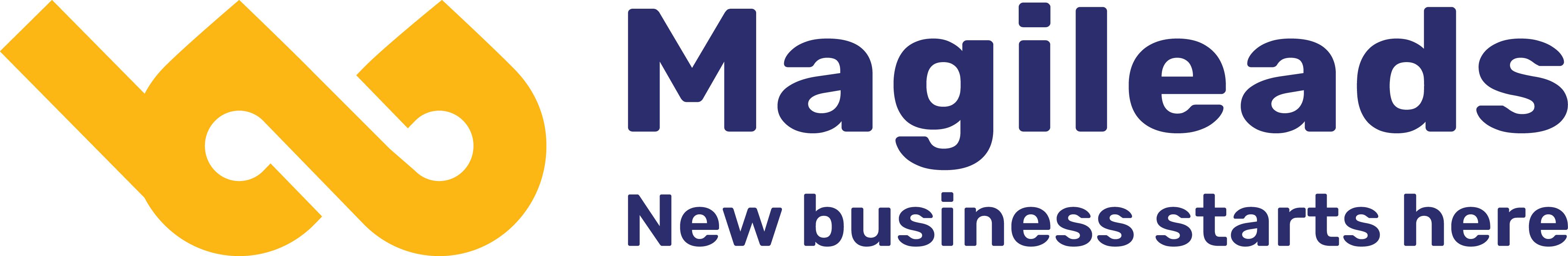 Review Magileads: Automate your BtoB sales prospecting - Appvizer