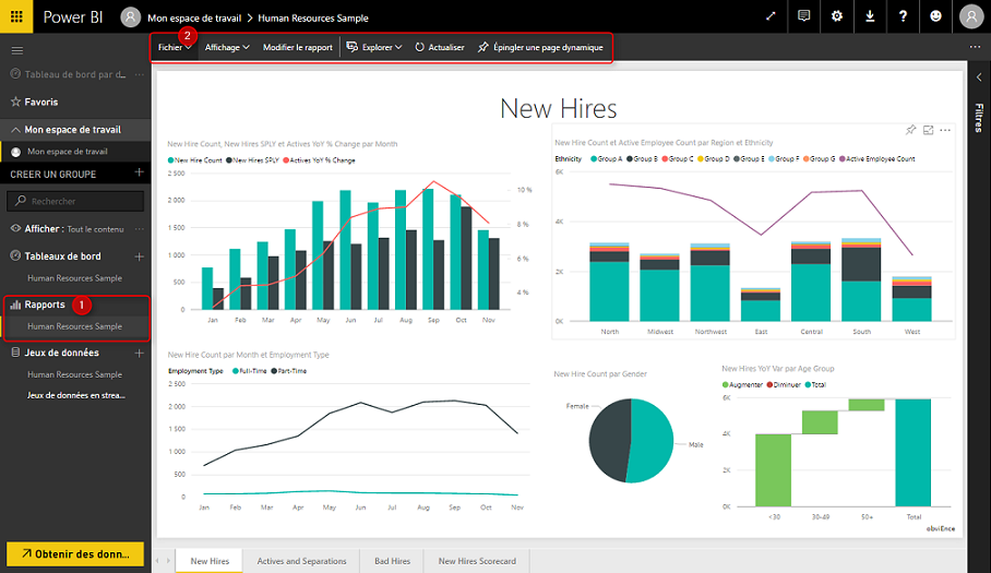 Power BI - Screenshot 3