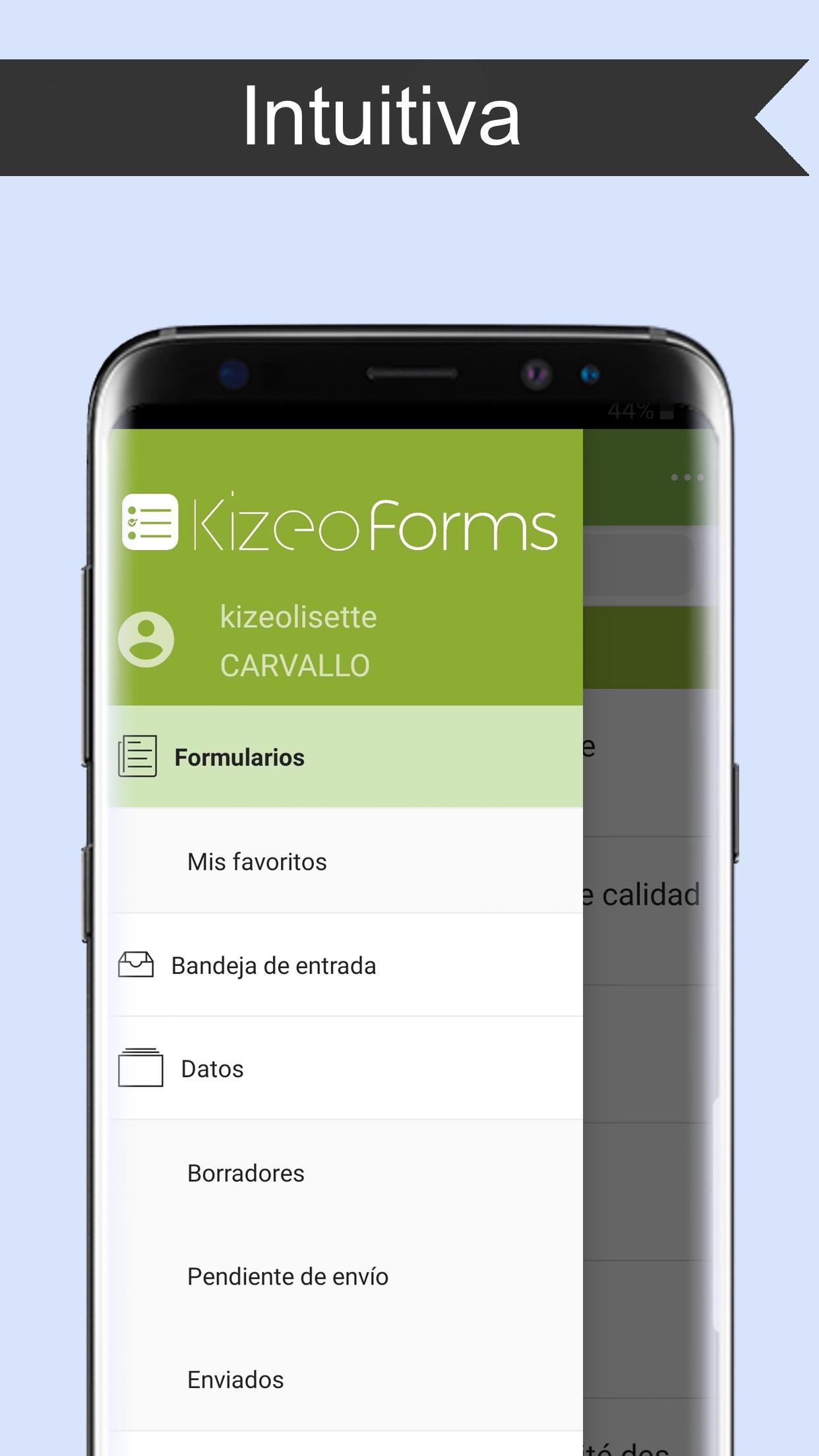 Kizeo Forms - Screenshot 9