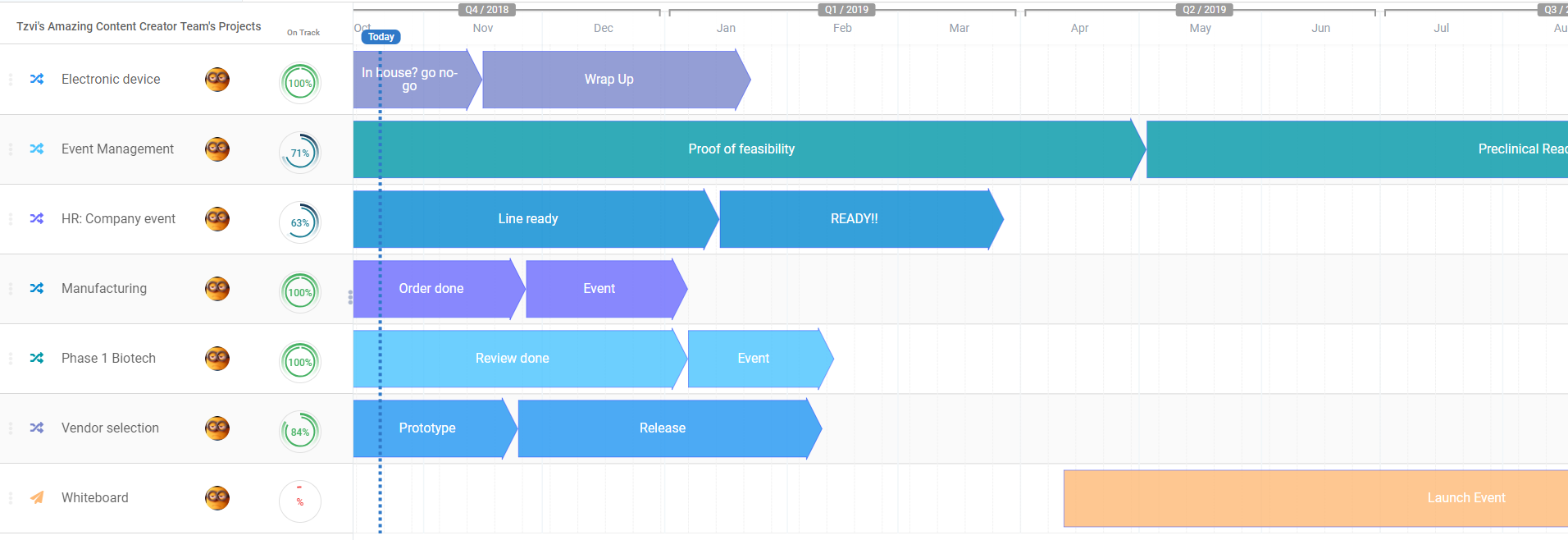 Proggio - Project Portfolio Management view - track all your projects in one screen