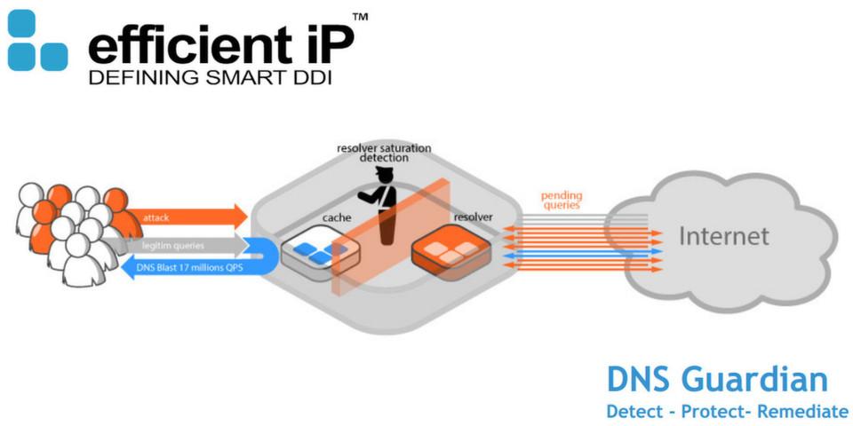 Avis DNS Guardian : Une sécurité DNS pour protéger les services et données - Appvizer