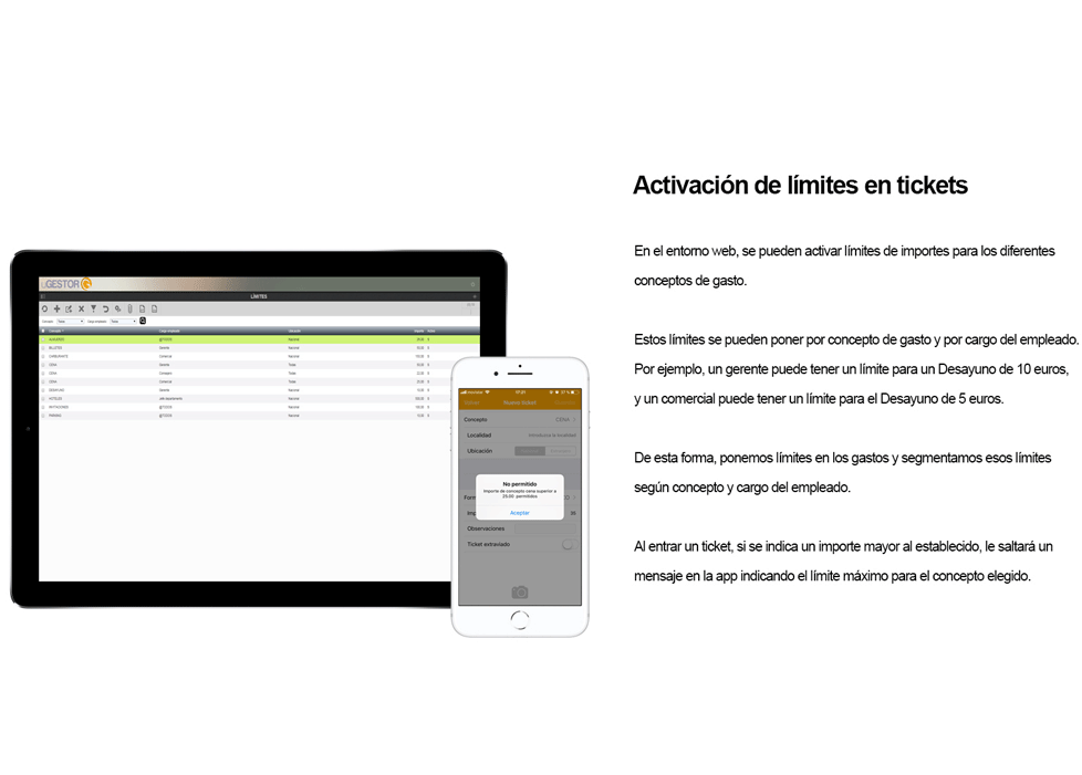 Gersoft - Límites de gastos