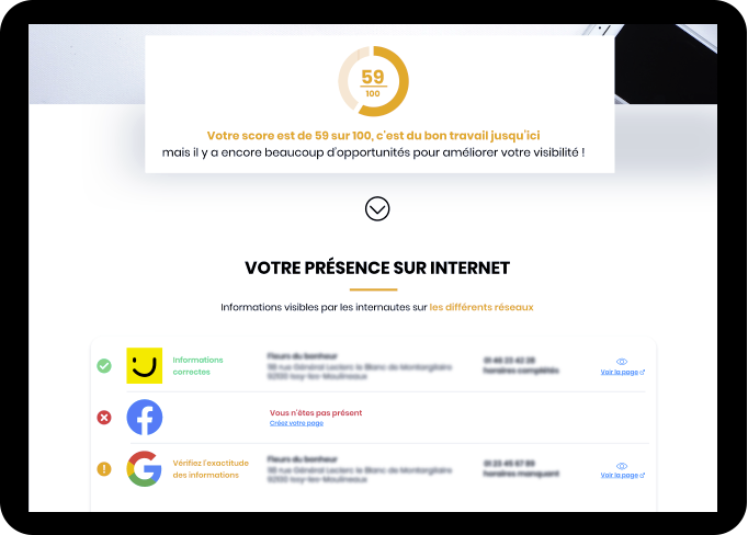 Audit Visibilité Digitale - Restitution de l'Audit digital Solocal