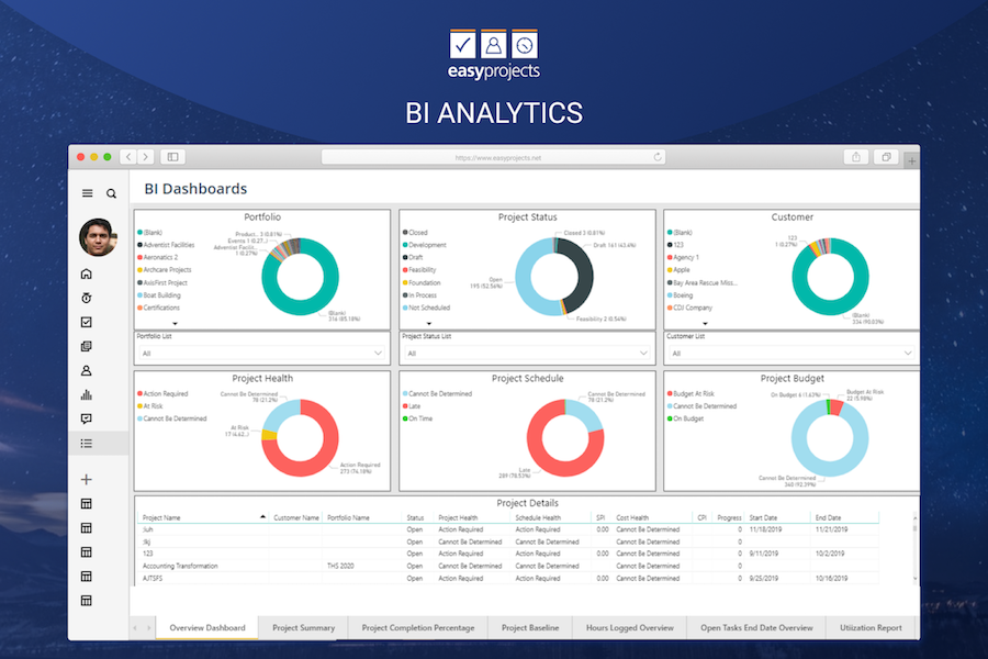 Birdview PSA - Business Intelligence