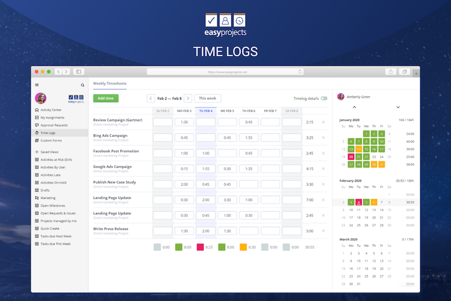 Birdview PSA - Time Logs