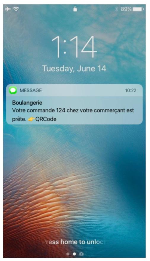 Hangers.io - SMS type envoyé à vos clients