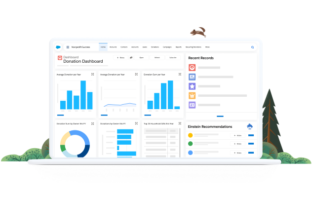 Salesforce Nonprofit Cloud - Screenshot 1