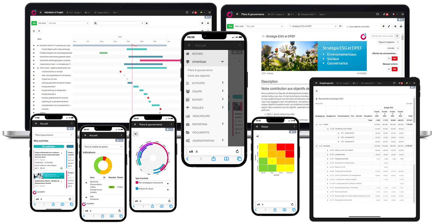 Cleerit - Pilotage d'Activité et de Performance Financière & Extra-Financière