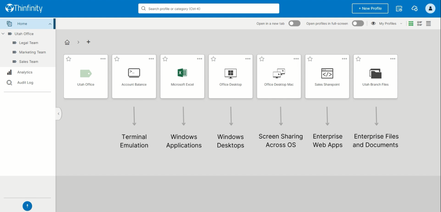 Thinfinity Workspace - Screenshot 1