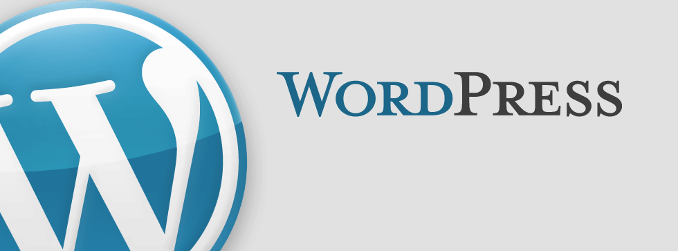 Recensioni WordPress: Leader mondiale di CMS Open Source - Appvizer
