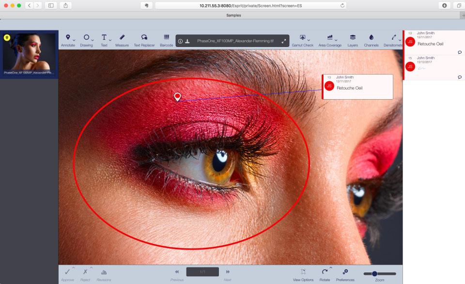 DALIM ES - DAM - WORKFLOW - DIALOGUE Engine allows you to view photos in very high definition and annotate them.